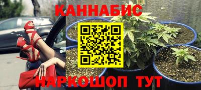 PSILOCYBIN Краснодар