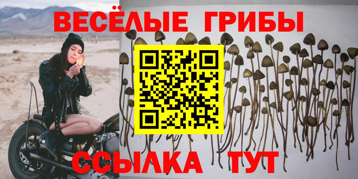 наркотики  Псилоцибиновые грибы ЛСД  Галлюциногенные грибы Cubensis  Вход с VPN  Татарск 