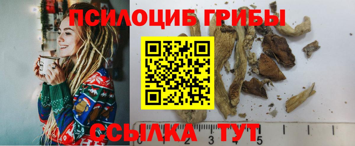 Галлюциногенные грибы GOLDEN TEACHER Татарск